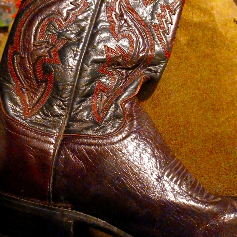 Dan post women's boots